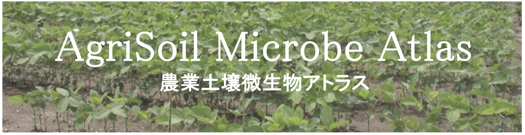 Top Logo